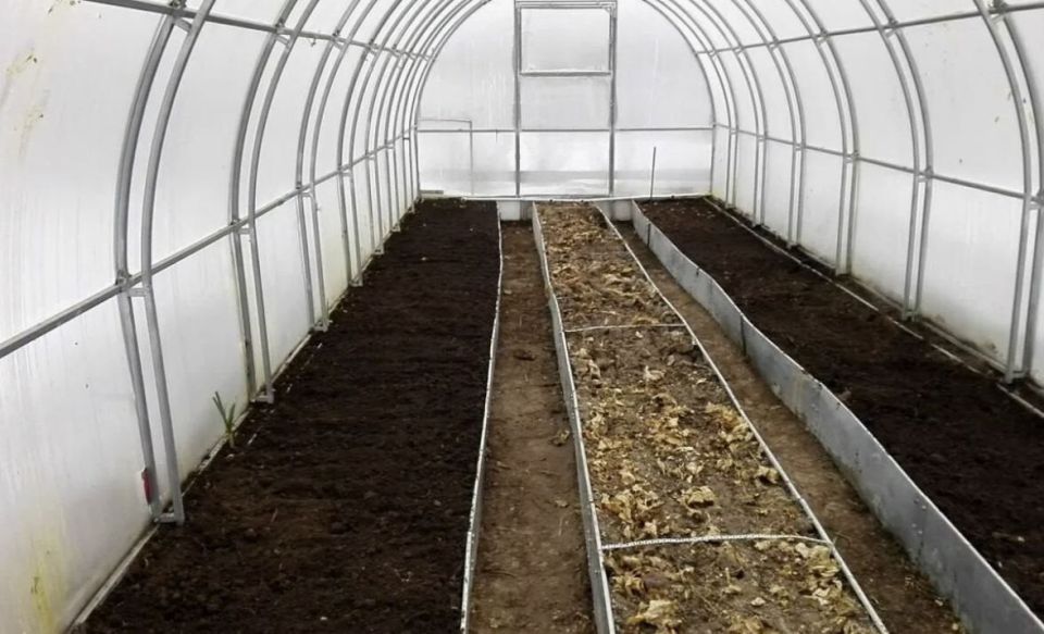 ��� ������ ����������� ������� � ������ ������