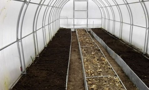 Как быстро подготовить теплицу к новому сезону