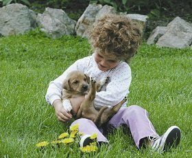 ������ ���� ������� ��������: ������ ������� � ���� ������� ��������