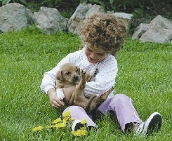 ������ ���� ������� ��������: ������ ������� � ���� ������� ��������