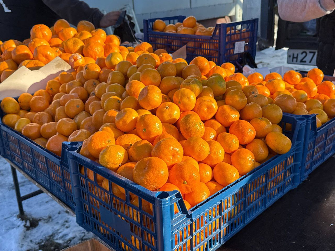 Ингушетия запускает продуктовые ярмарки к Рамадану: доступные цены на 15–20% ниже рынка и широкий ассортимент свежих продуктов от местных производителей