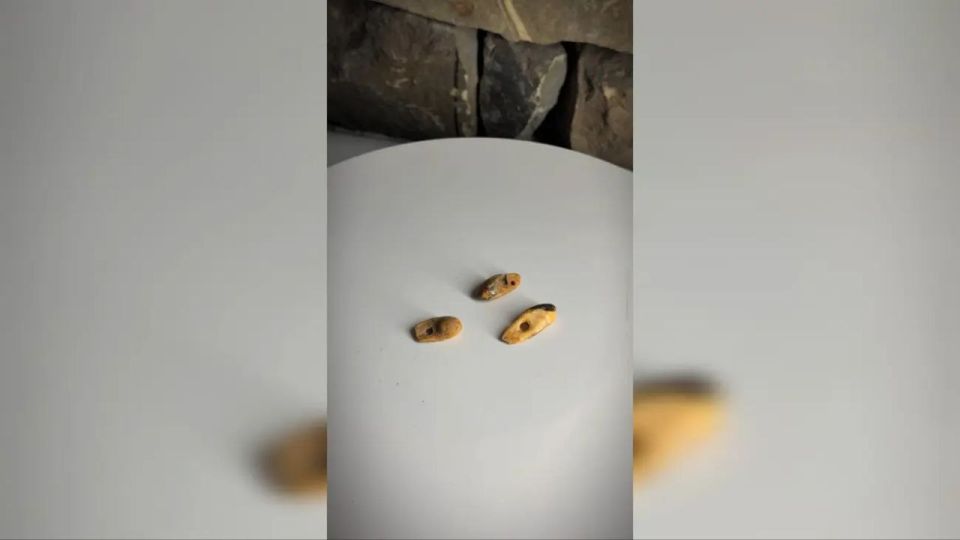 � ������ ��������� ������� ��� � ������ ��������� ����� ������� ��������