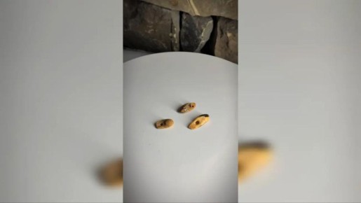 � ������ ��������� ������� ��� � ������ ��������� ����� ������� ��������