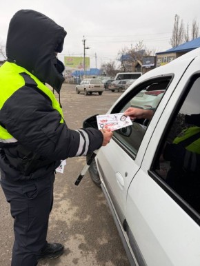 В Сунже прошла профилактическая акция «Автокресло детям»