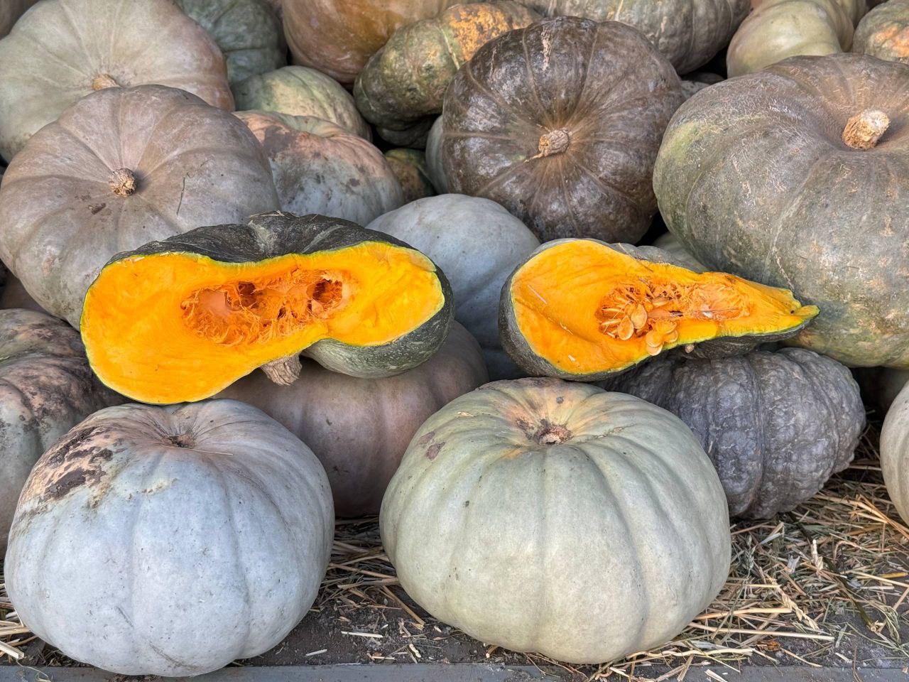 Ингушетия запускает продуктовые ярмарки к Рамадану: доступные цены на 15–20% ниже рынка и широкий ассортимент свежих продуктов от местных производителей Ингушетия запускает продуктовые ярмарки к Рамадану: доступные цены на 15–20% ниже рынка и широкий ассортимент свежих продуктов от местных производителей