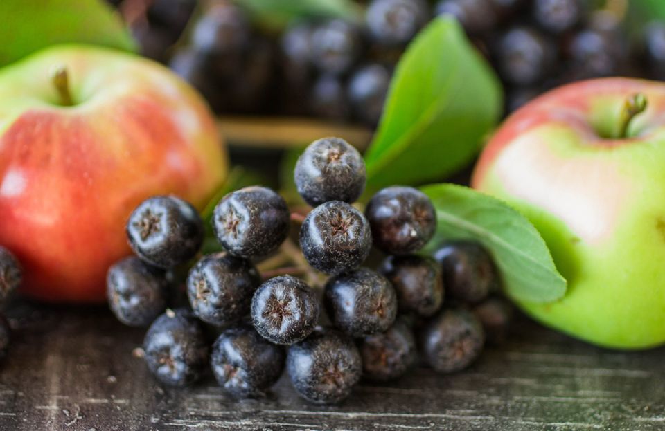 Как сохранить черноплодную рябину на зиму: 5 простых и вкусных рецептов