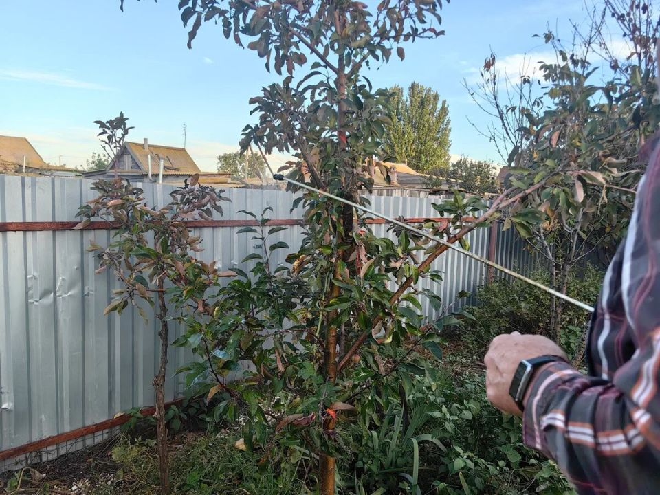 ���������� ��������� ����: ��� ������ �������� � ���������� �����