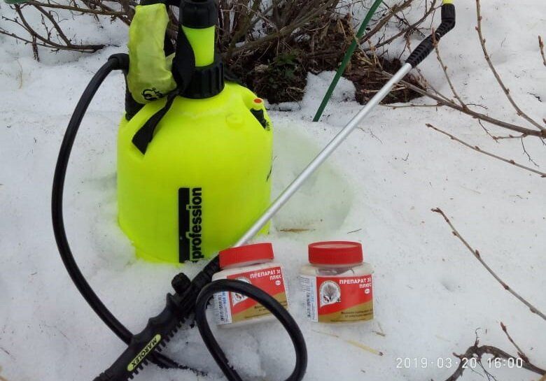 ����������� �������� ��� ������ ���� ��� �����