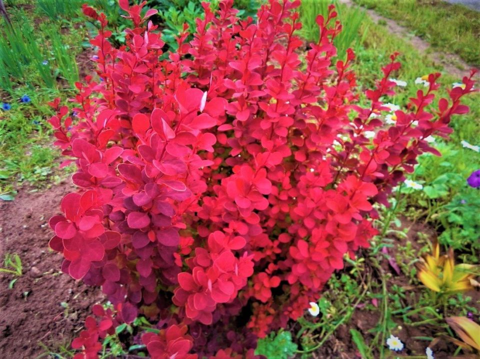 ������������ �������� �������� ��� ������ ����