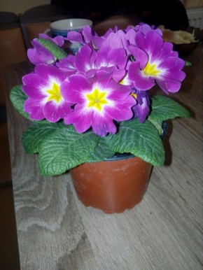 ���� �� ��������: ������� �������� � ������� � ���� � ����