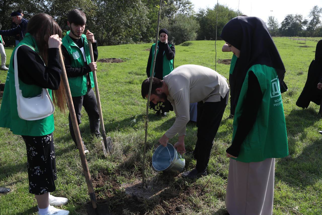 Жители Ингушетии активно участвуют в озеленении и благоустройстве территорий Жители Ингушетии активно участвуют в озеленении и благоустройстве территорий
