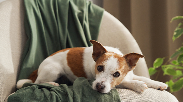 Как вернуть деньги за квартиру: двойной задаток в случае срыва сделки