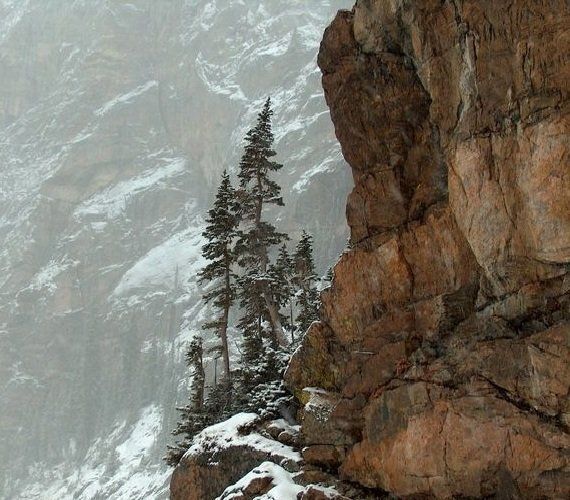 Как справиться с горем: путь через потерю