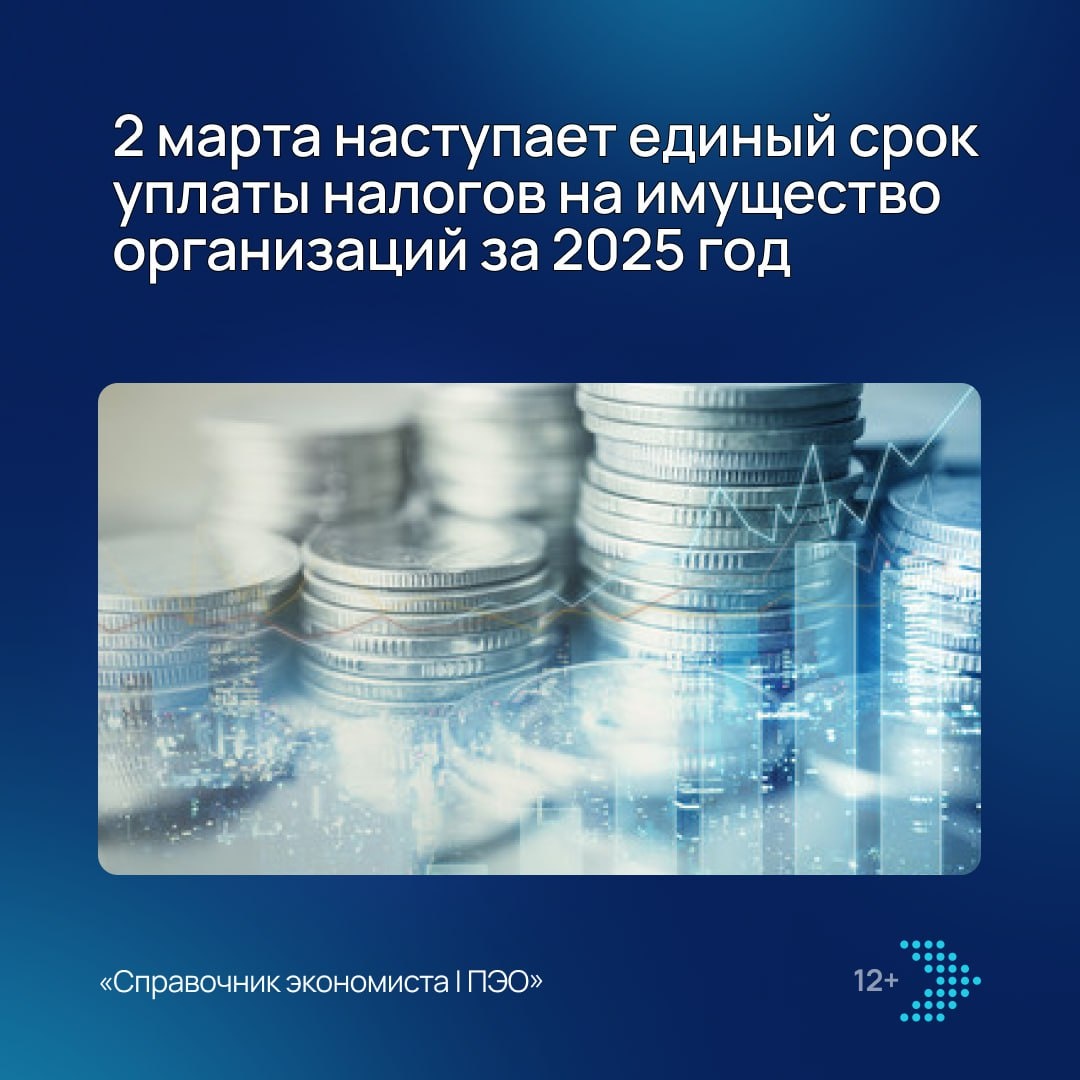 ФНС России напоминает о важных сроках налоговой декларации