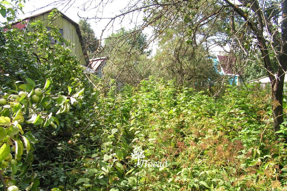 �������: ��������� �������� ���� ��� ��������