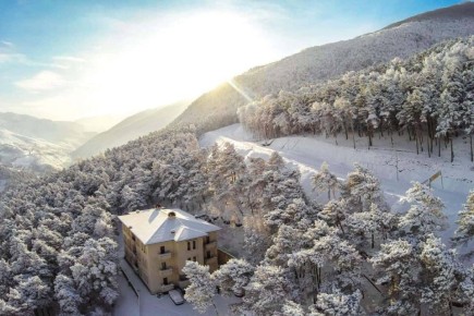 В рамках регионального проекта «Сохранение лесов» нацпроекта «Экологическое благополучие» в республике запланированы масштабные лесовосстановительные работы на площади 140 гектаров