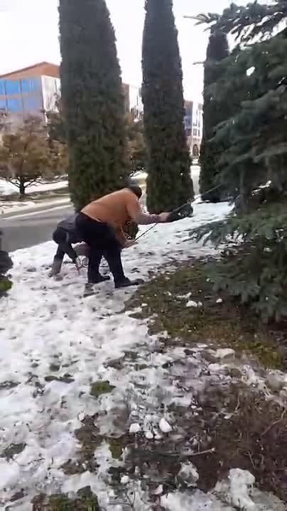 ��������� ����� � ����������� "���������"