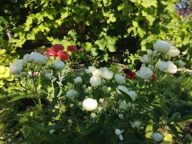 ����, ������� ������ ��������� ��� ����: ��������� ����� ��� ���������