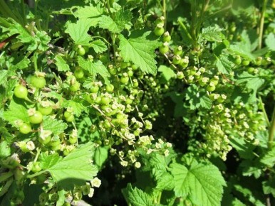 ������� ��������� ��������� � ���������� ��� ������� ������