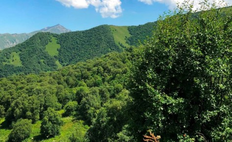 +140 �������� ���� � ���������: ���� �� 2026 ���