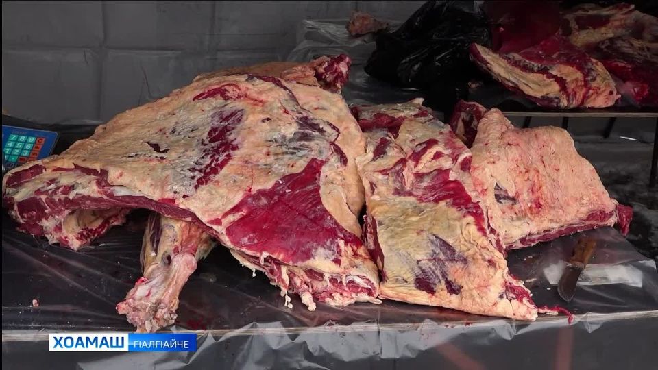 Юртбоахама ярмаркаш д1ахьоргья Г1алг1айчен шахьарашка мархий бутт чакхбаллалца