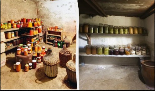 Как создать идеальные условия в погребе: пять бюджетных методов для борьбы с влагой