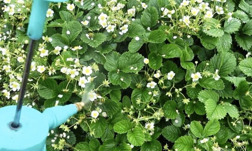 ��� ���������� ������� ������ ���� � ������ � ������� ����