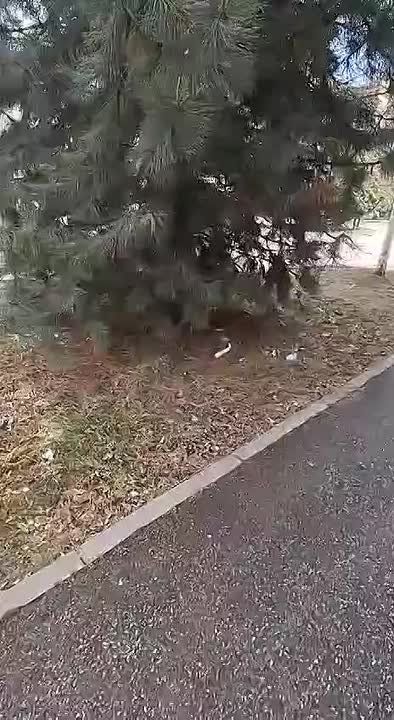 ���������� ���� � 37 �� ����� �. ���������� ���������� � ���� ���� �����