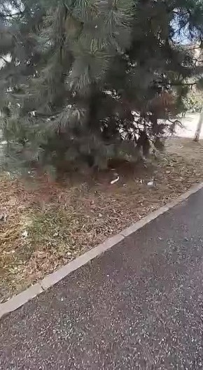 ���������� ���� � 37 �� ����� �. ���������� ���������� � ���� ���� �����