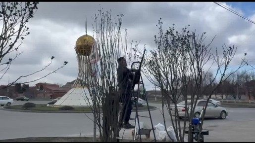 � ���������� ���� � ������� ������������ ������ �� ��������� ������� � ��������������� ������