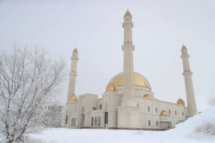 ���������� ��������� ������������ ����������� ������ ����� � �������� � ����� �������