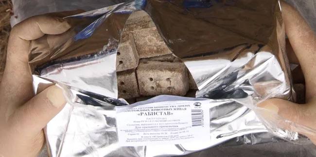 Стоп-бешенство: в лесах Ингушетии раскладывают вакцину для зверей