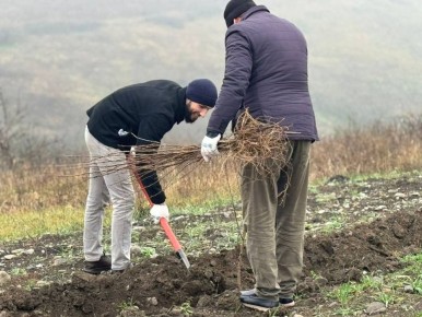 � ���� ���� � ���������� ����������� �������� 73 ������ ��������