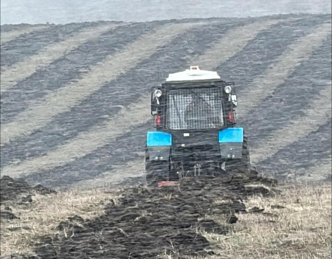 В Ингушетии высадят 73 тыс саженцев ясеня