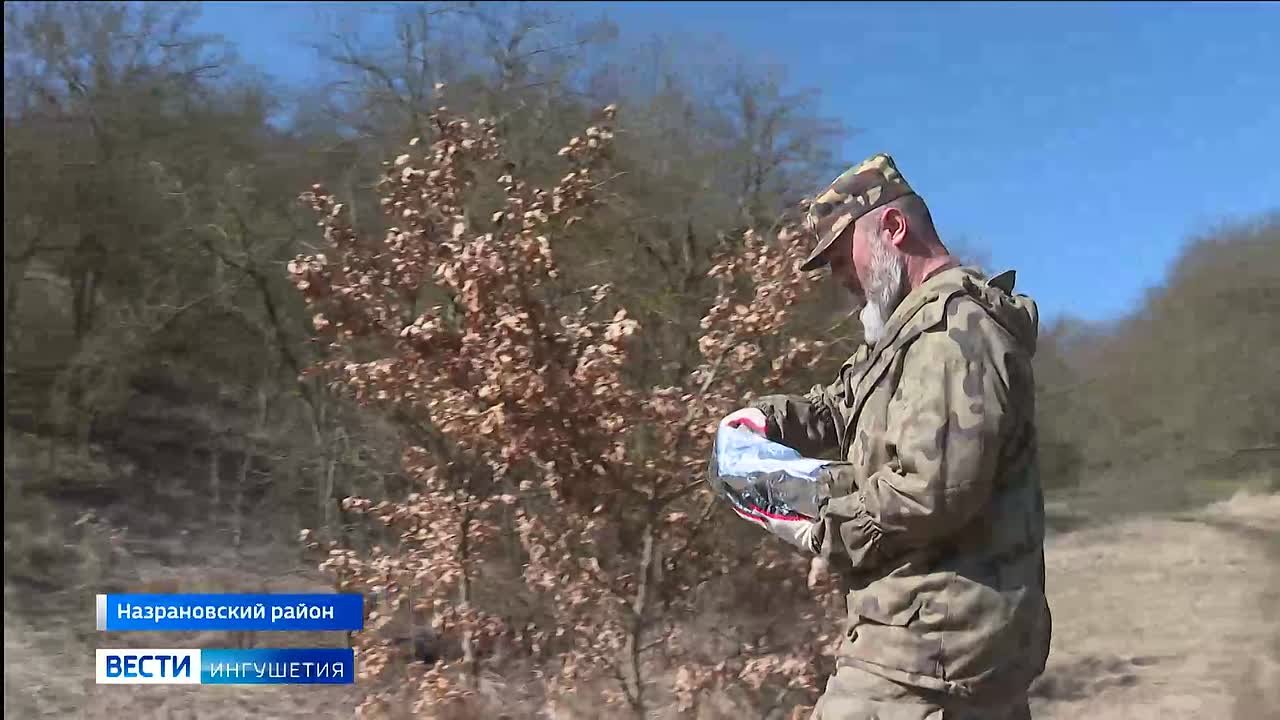 В Ингушетии стартовала ежегодная вакцинация диких животных против бешенства