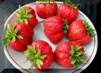 ����������� �������� '����': ��� �������� ������ ������