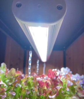 ��� ��������� ������� ��������� ��� ��������