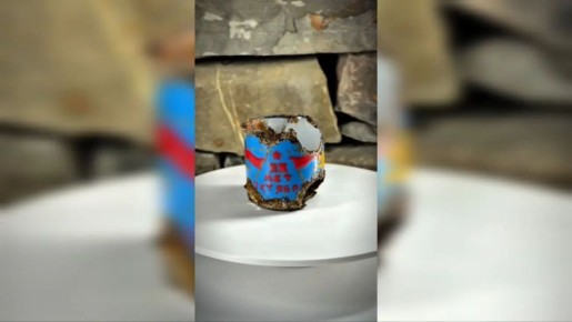 � ����� ��������� ����� ������ � �������� �20 ��� ��������