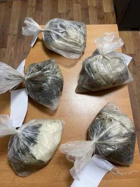 ����������� ��������� ��������� ��������������, ����������� �� �������� � ���������� 5 �� ���������