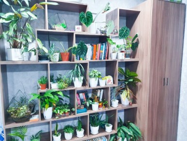 ��� ���������� �������� ���������� �������� ���������� ��������