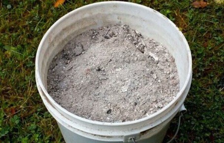 ������ ����� �� ����� �������� ������: 3 ������� �� ���������