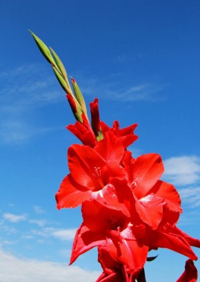 ���� �� ������������ � �������: ������� ��� ������� �������