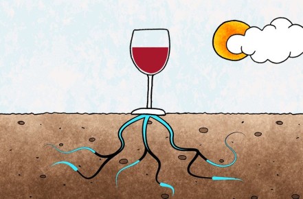 �������: ����� ������������� � ������� �������������