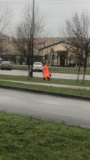 � ������ �����, 8�. ������������� � ������� ���� �������� �� ������ ������