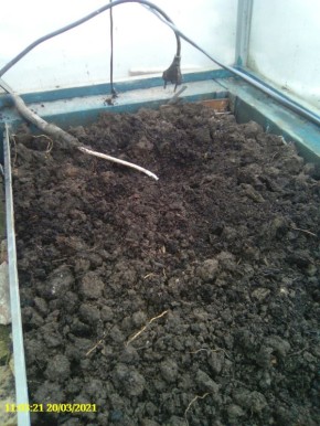 Эффективные методы обогрева теплицы в марте