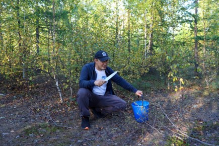 Тихая охота: как провести последний день лета на грибах