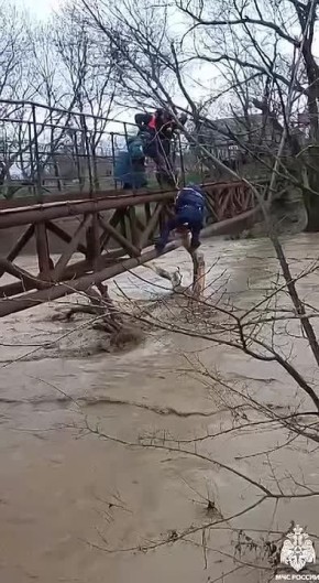 ��������� ����������� ����������� ���������� �����