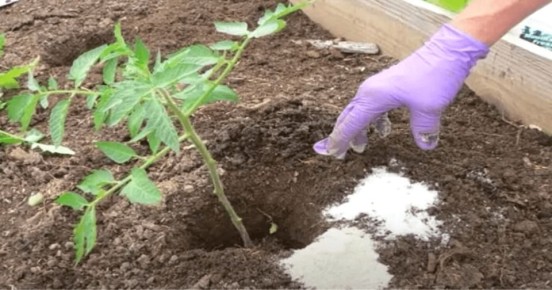 ������ ���������� ���� � ����������� �������� ��� ���������