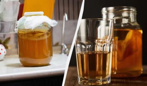 Польза чайного гриба: как его вырастить и правильно ухаживать