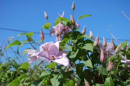 ���������: ������� �������� ������� � �����